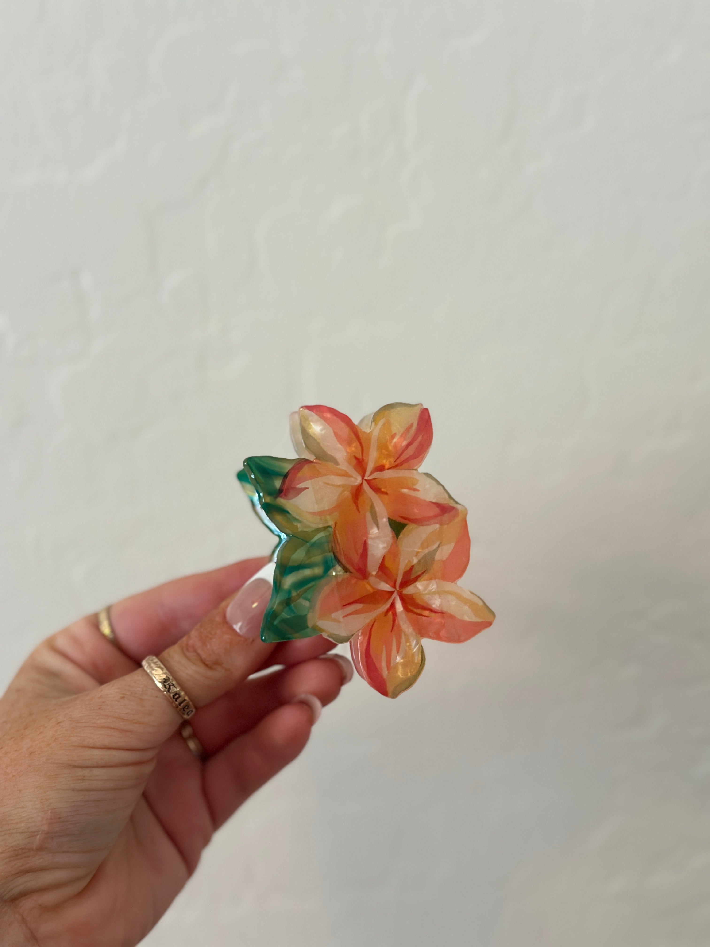 Claw Clips