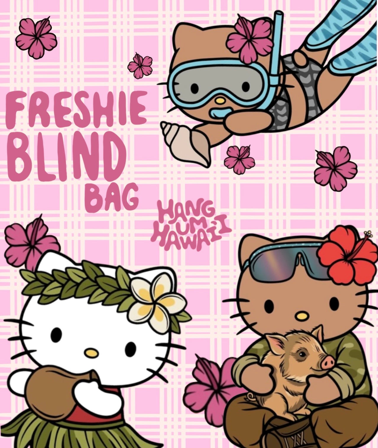 Hello Kittie Blind Bag