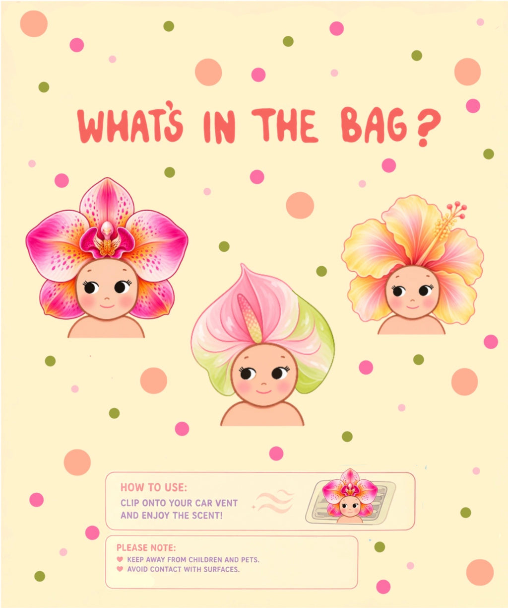 Blind Bag Pua Bebeh-Series 3 Vent Clips