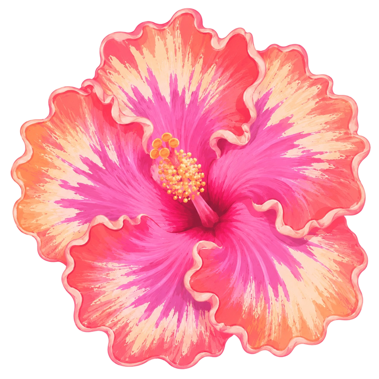 Hibiscus Freshie