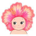 Hibiscus Bebeh Freshie