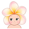 Plumeria Bebeh Freshie