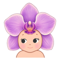 Orchid Bebeh Freshie